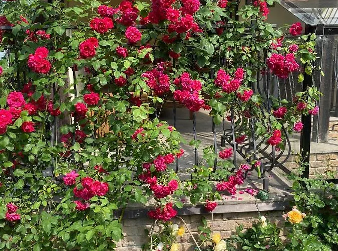 Słupskie Apartament